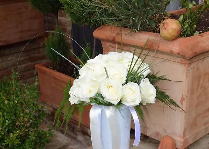 La Toscanina Foiano Della Chiana